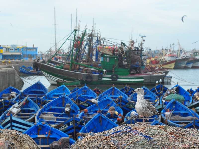 Morocco - Bavaria 50 skipper delivery from Mallorca to Tenerife Morocco - Bavaria 50 skipper delivery from Mallorca to Tenerife