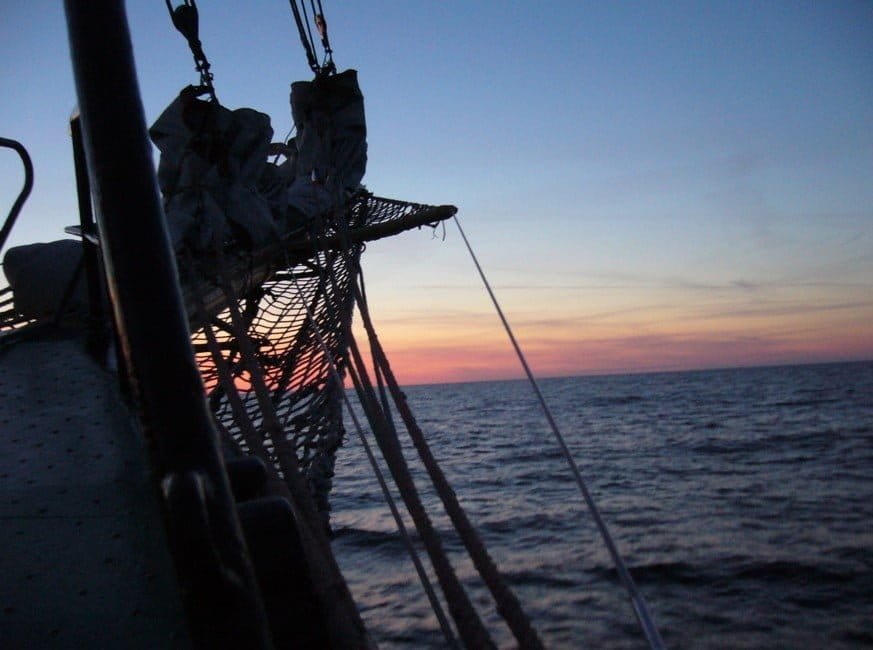 Skipper delivery Zawisza Czarny