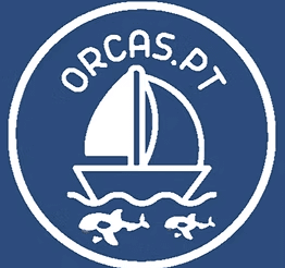 sailboat sailing with orcas. Above name orcas.pt